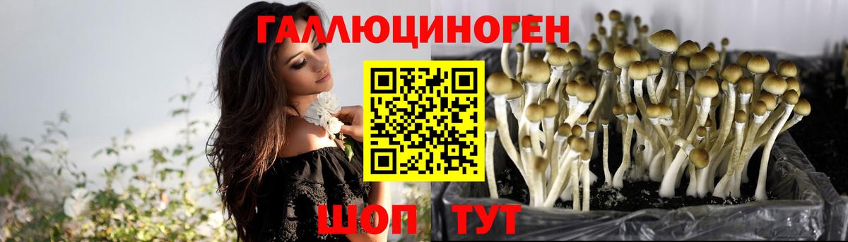 Галлюциногенные грибы ЛСД Череповец